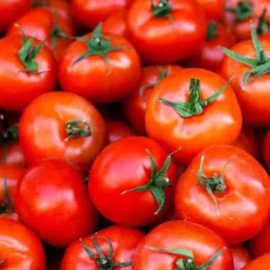 Tomatoes